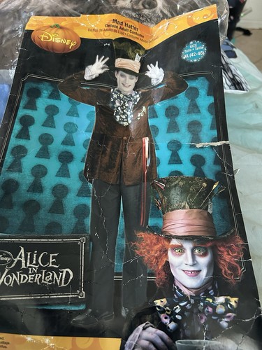 Alice wonderland mad - in, hatter