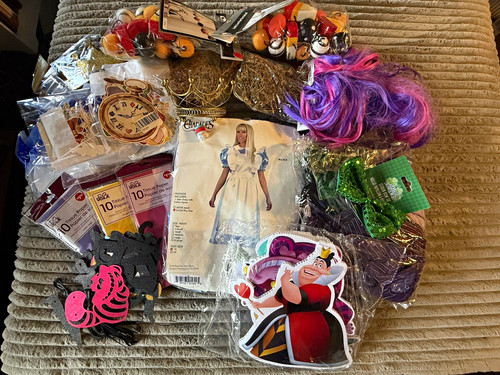 Alice wonderland costume - in,